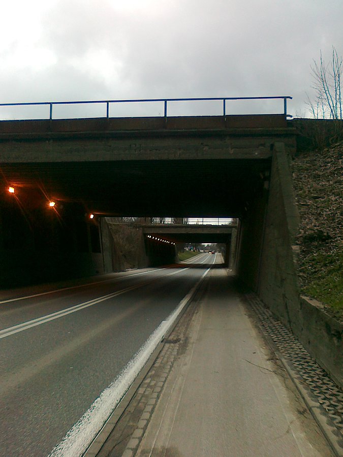 Dżwigowa
