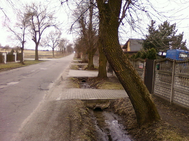Aleksandrów, ul. Głowackiego
