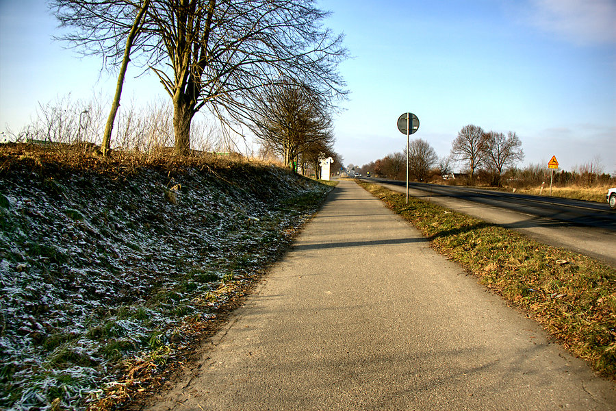W drodze nad Miedwie