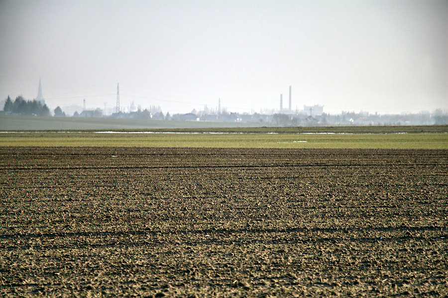 Widok z drogi Grzędzice - Żarowo