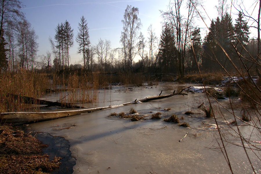 Żabie Uroczysko