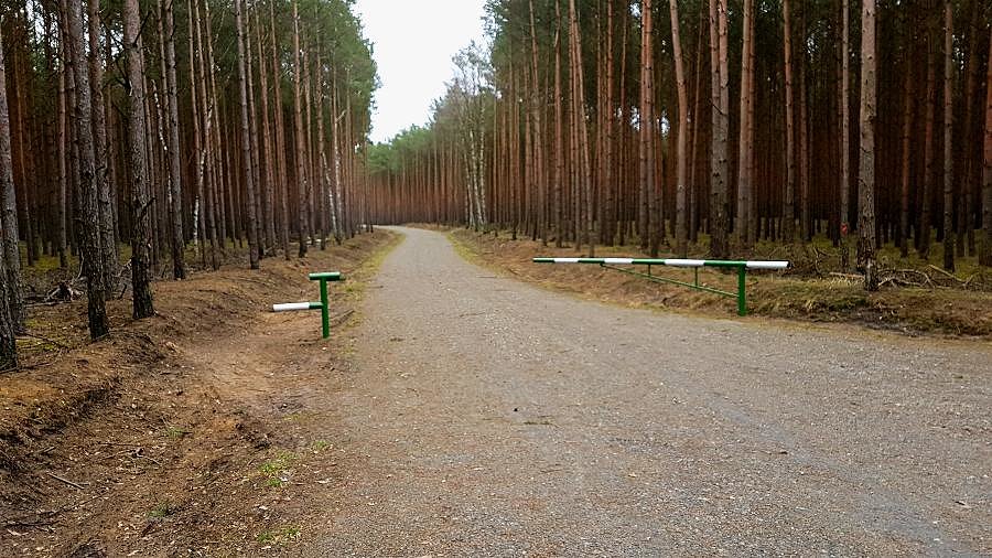 Nowa szutrówka do Wielgowa