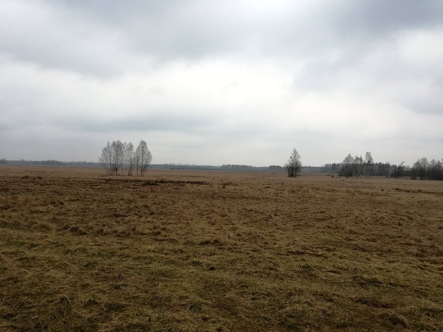 I na koniec Wystawka