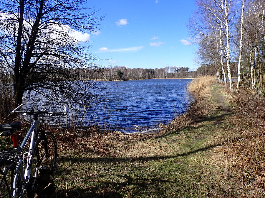Staw Widawa