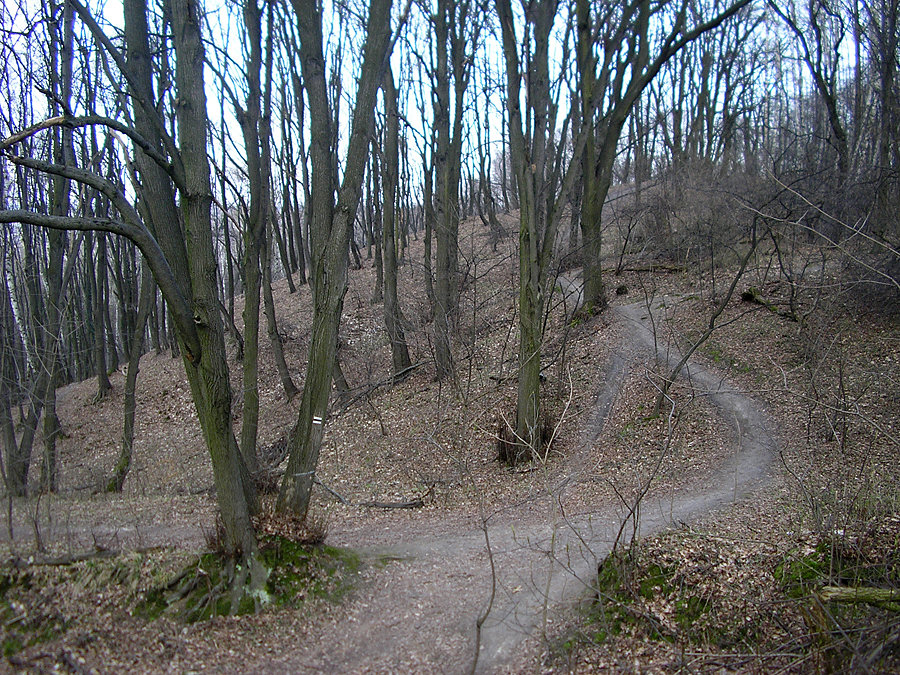 Zielony pieszy