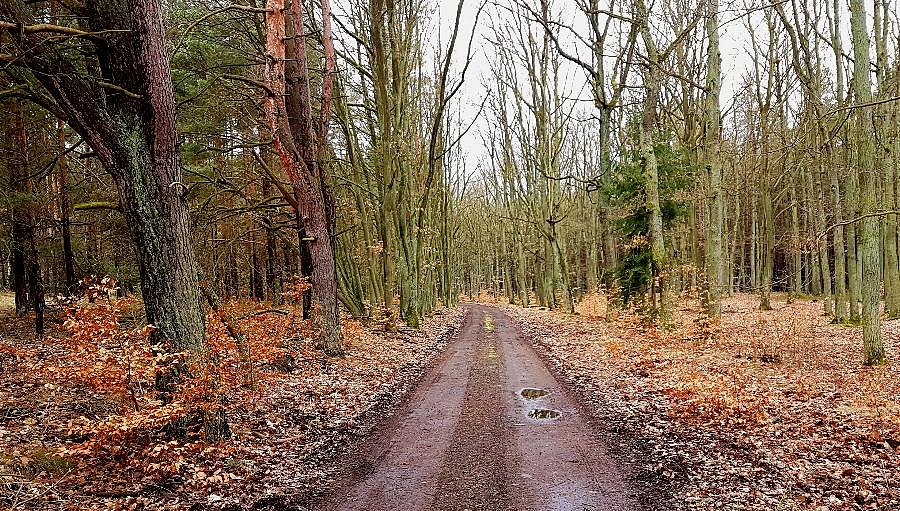 Dojazd pożarowy 45