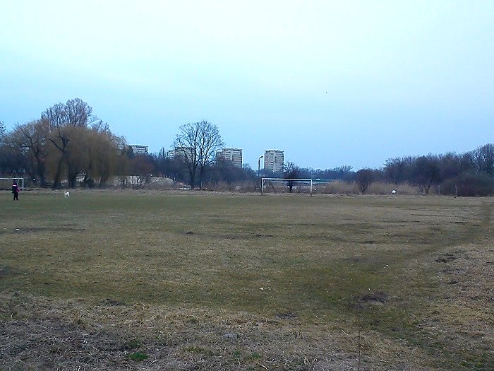 Na zachodnich krańcach Jeziorka Czerniakowskiego