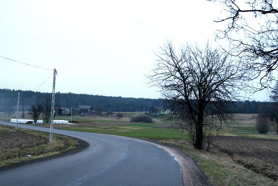 Po nowym dywaniku w Kolonii Dębniak