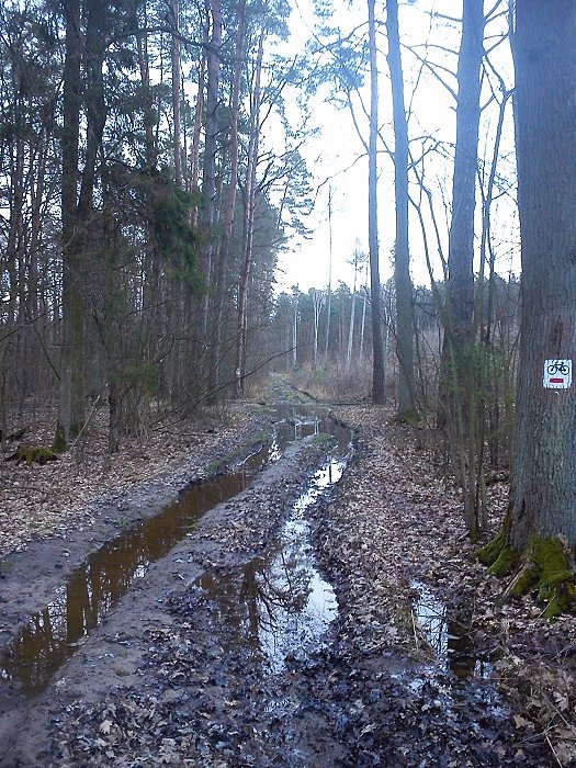 Z tej drogi się wycofałem