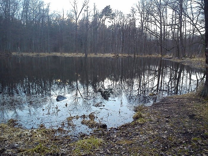 Woda i błoto, na szczęście nie ma komarów, których nie znoszę