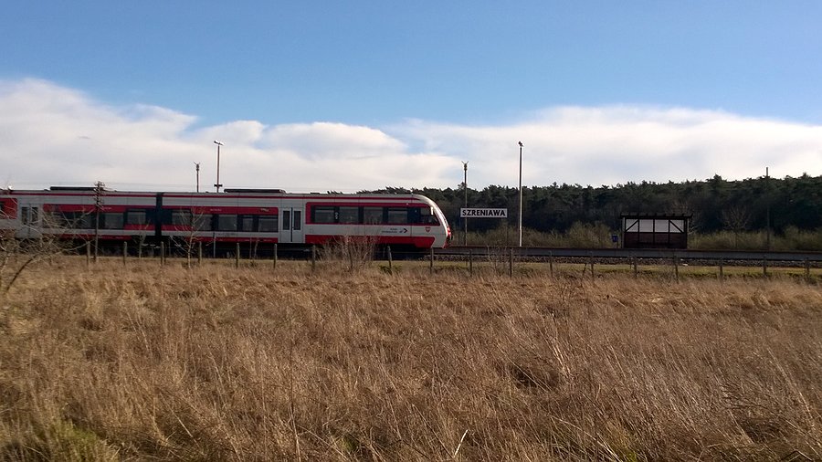 Szreniawa