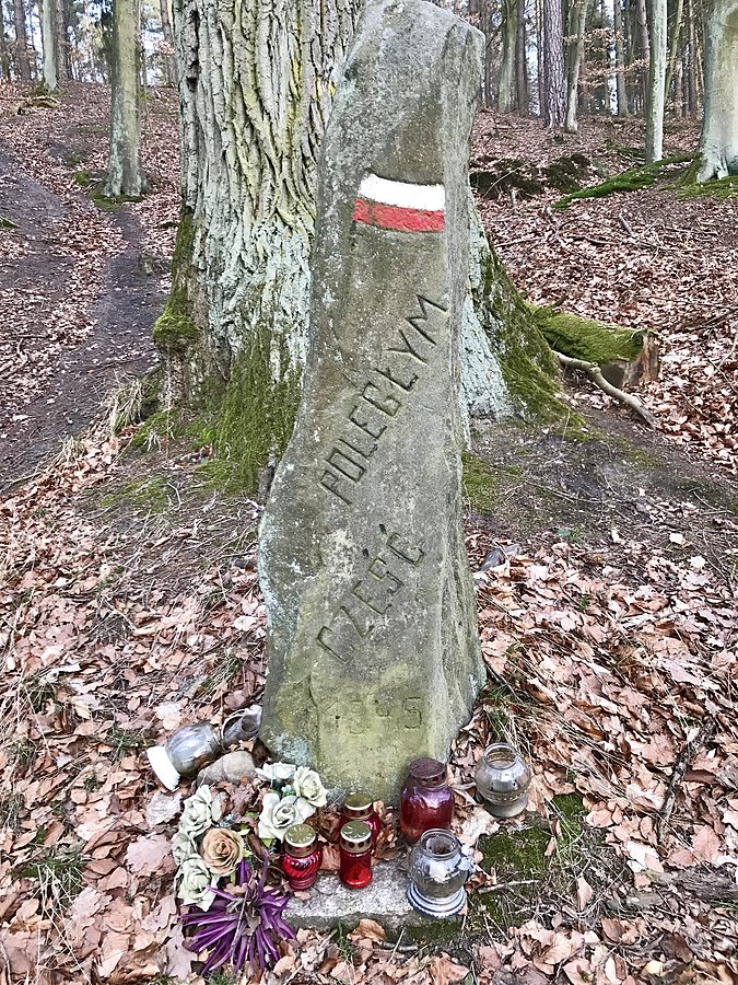 Leśny pomnik na rozwidleniu dróg koniec jeziora zduńskiego