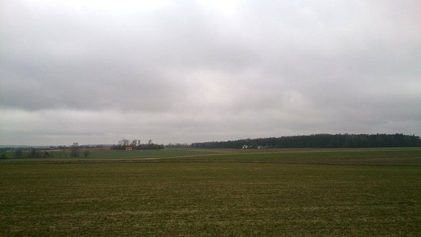 Pola koło Wierciszowa