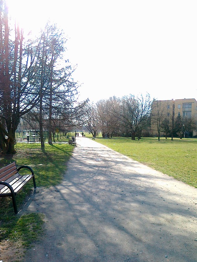 Słoneczny dzień