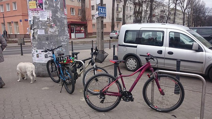 Nie tylko Kross przyjeżdża na siłownię