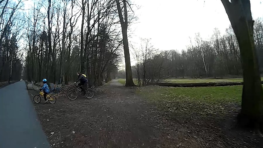W lasku Makoszowskim ciągły ruch