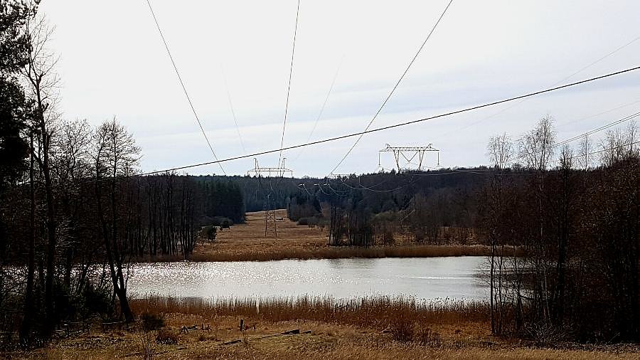 Staw Cysterski w Jezierzycach