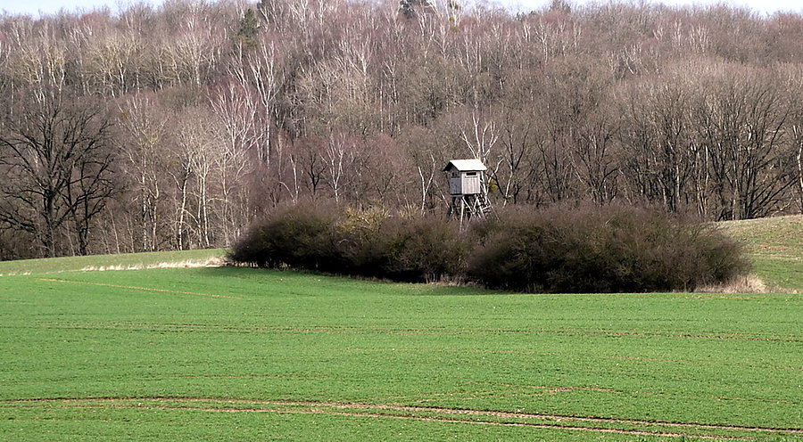 W drodze do miejscowości Mewegen