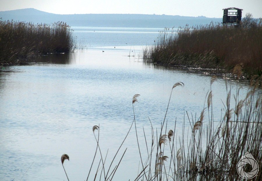Vransko jezero, rezerwat przyrody