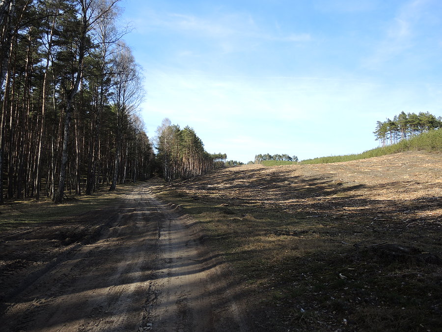 Kierunek Góra Rzecińska