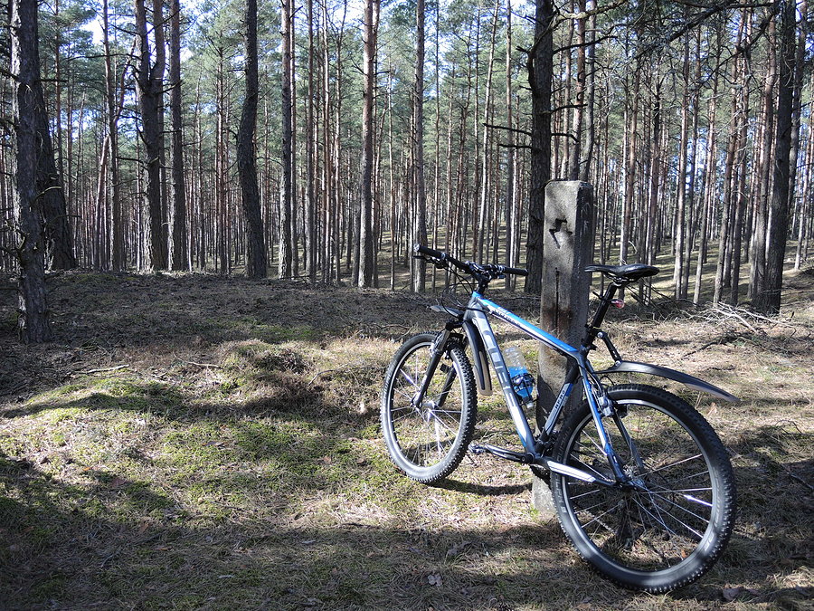 Na szczycie Góry Rzecińskiej