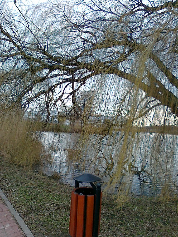 Staw był po drodze