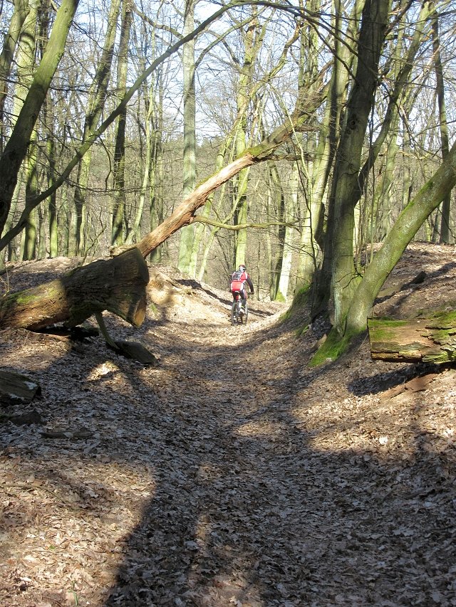 Park Krajobrazowy Promno - wąwóz