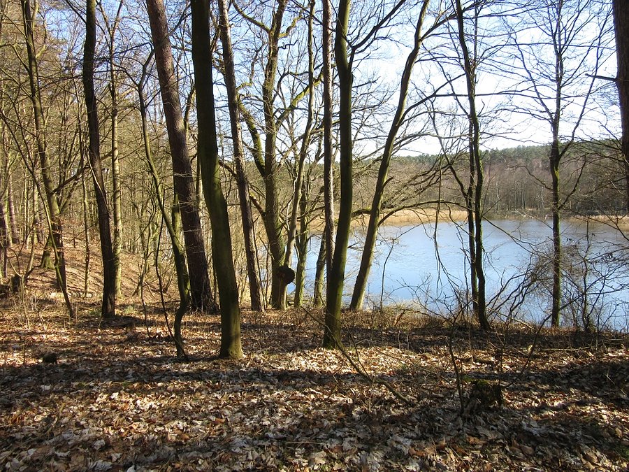 Park Krajobrazowy Promno