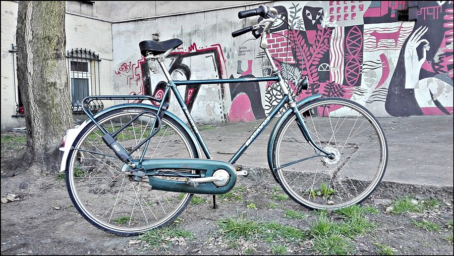 Batavus Florence