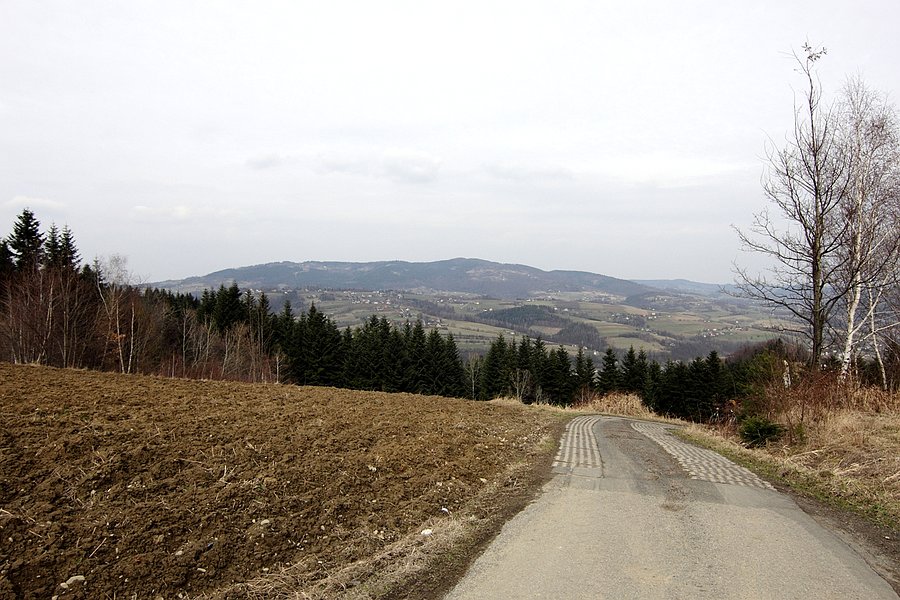 W drodze na Paproć