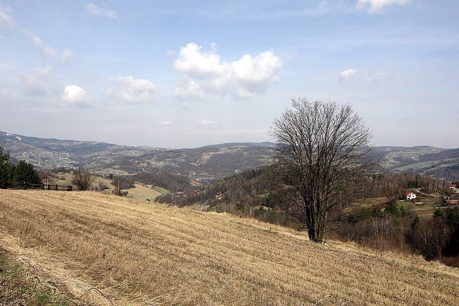Tu gdzie pogórza zmieniają się w góry