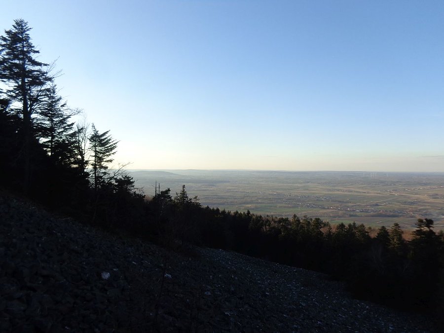 Gołoboża