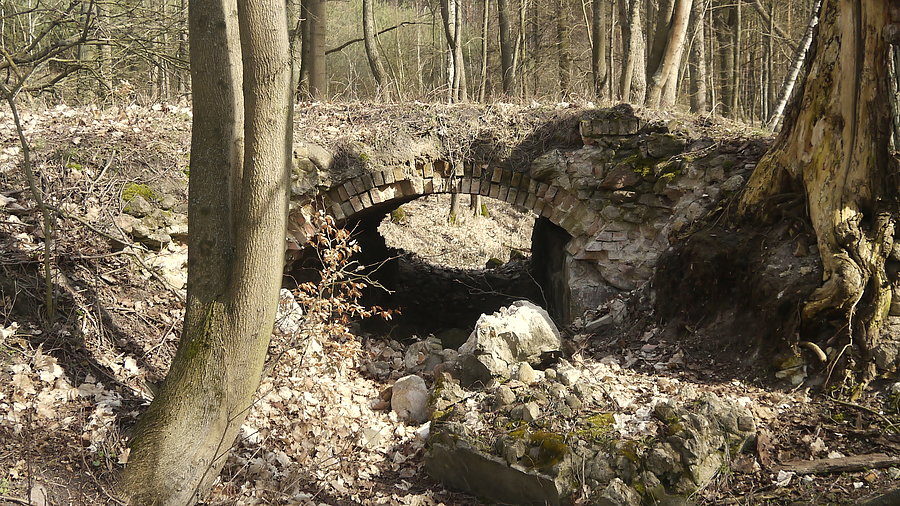 Nad jeziorem Wędromierz