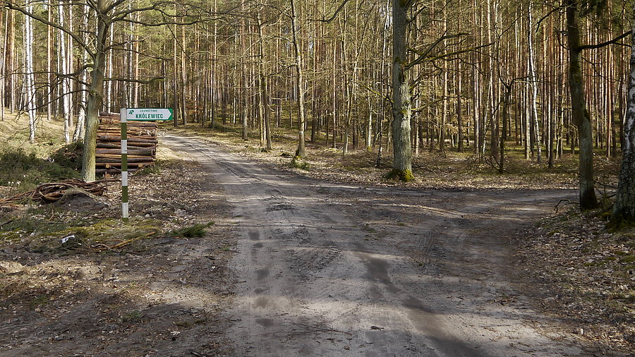 Do leśniczówki Królewiec