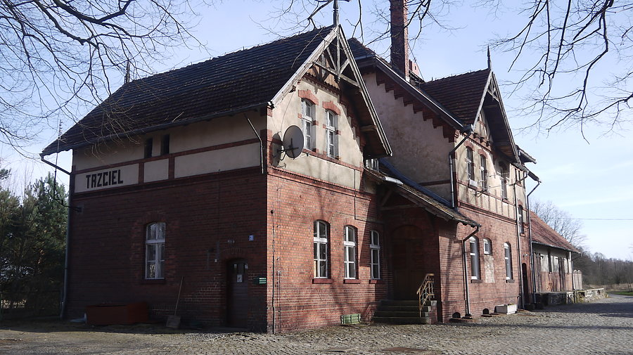 Stacja Trzciel