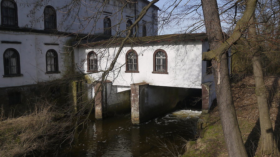 Trzciel - młynówka