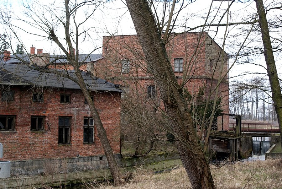 Młyn wodny w Ujeździe nad Piasecznicą