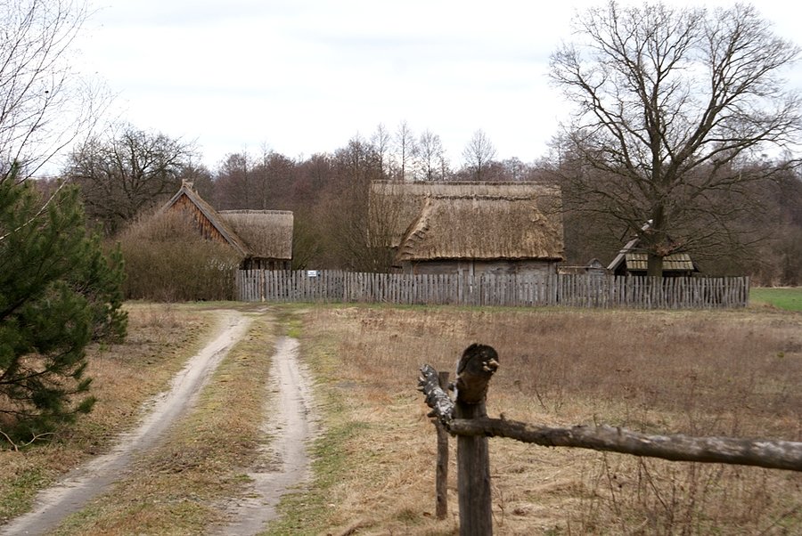 Gospodarstwo całe pokryte strzechą - wieś Łączkowice