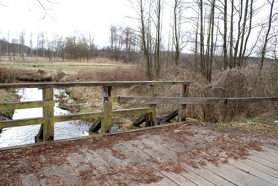 Na mostku nad Piasecznicą - Szymanów