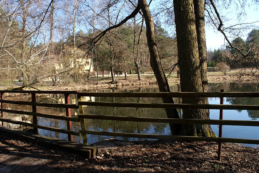 Widok na staw pod młynem