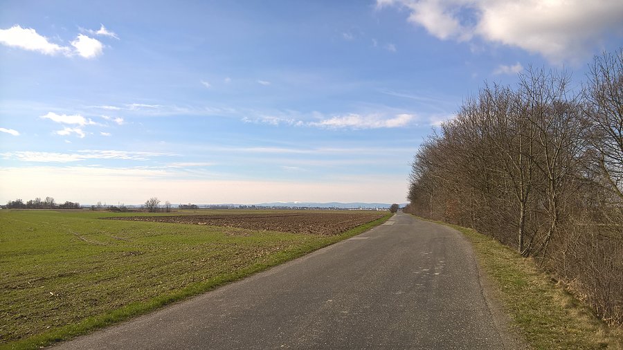 Widok na jeseniki i Głogówek