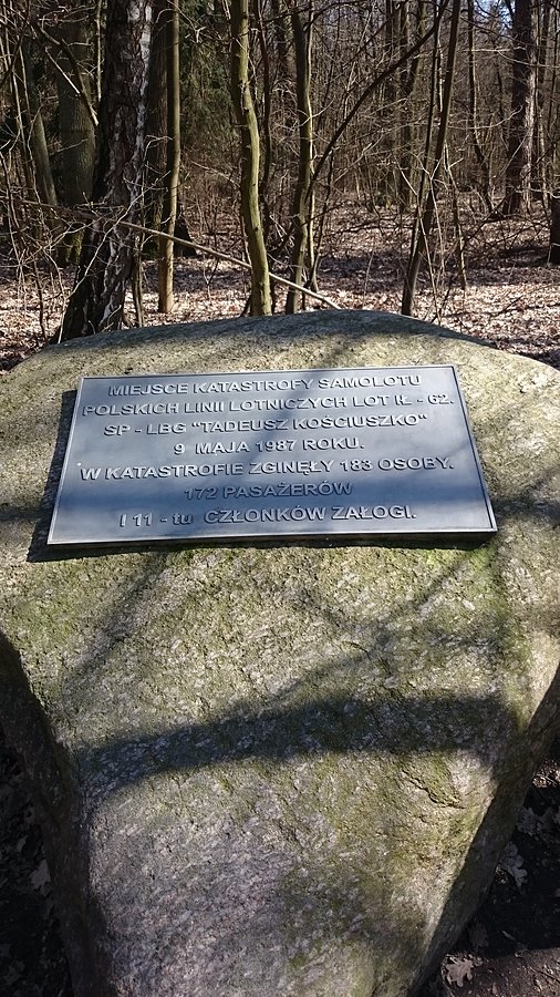 Jak już byłam w lesie Kabackim to zahaczyłam o te miejsce