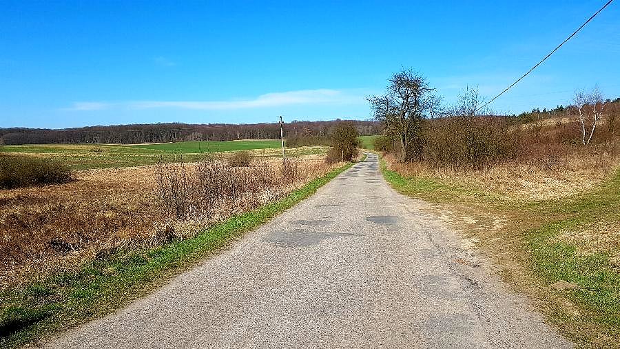 Droga do Dobropola Gryfińskiego