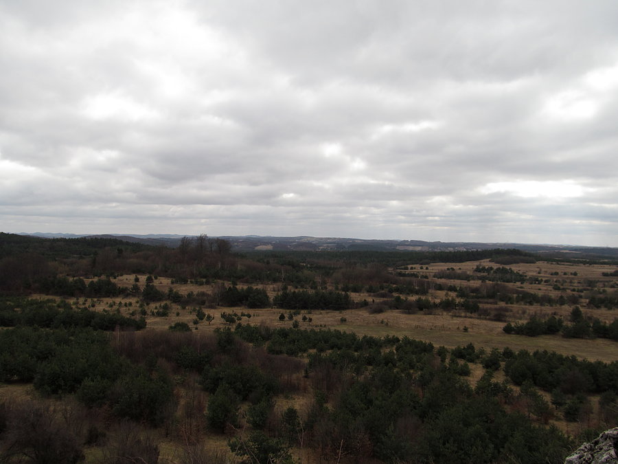 Widok ze Skał Rzędkowickich