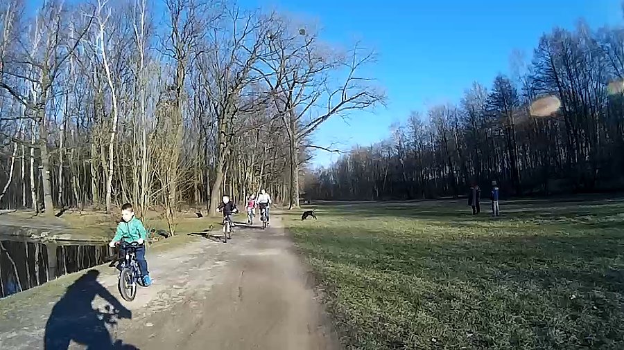 W lasku Makoszowskim