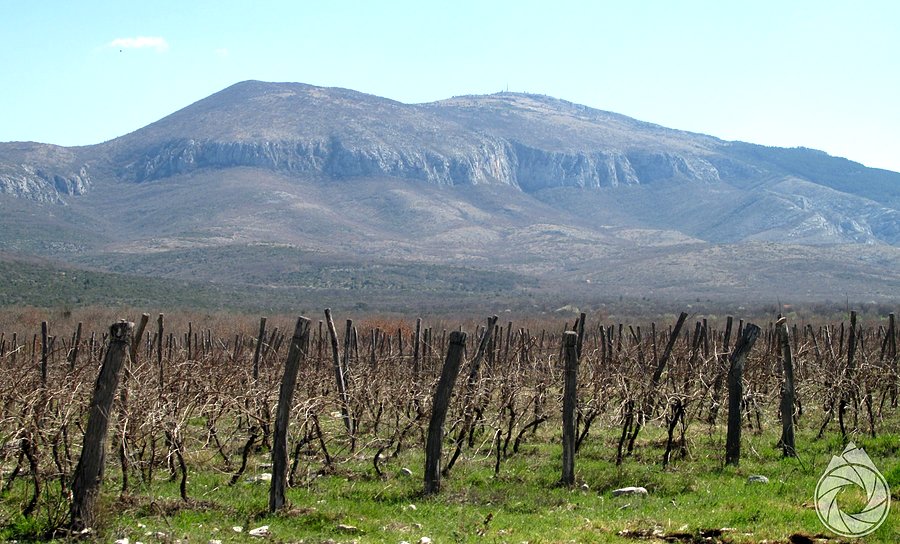 Promina i plantacjami
