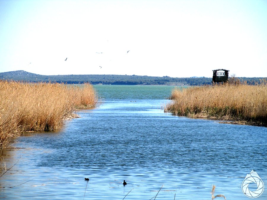 Park Prirode Vransko jezero