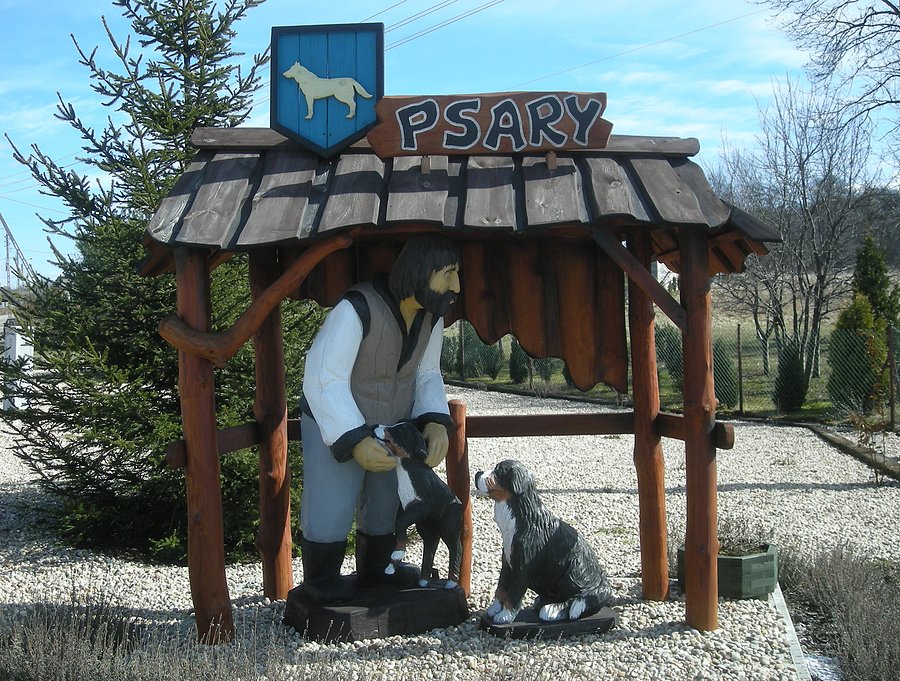 Psary