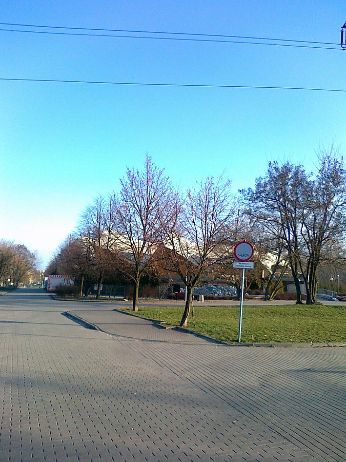 W parku na Jelonkach