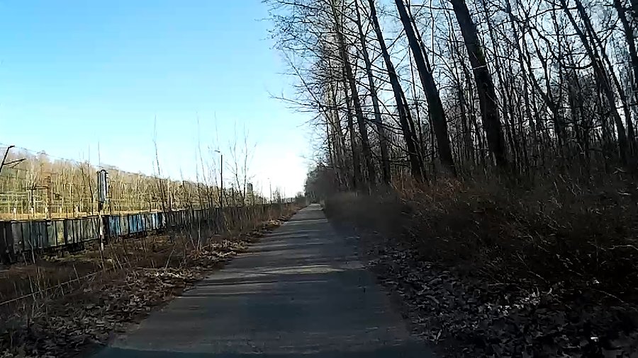 Niebieskim szlakiem rowerowym